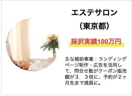 エステサロン(東京都)採択実績100万円