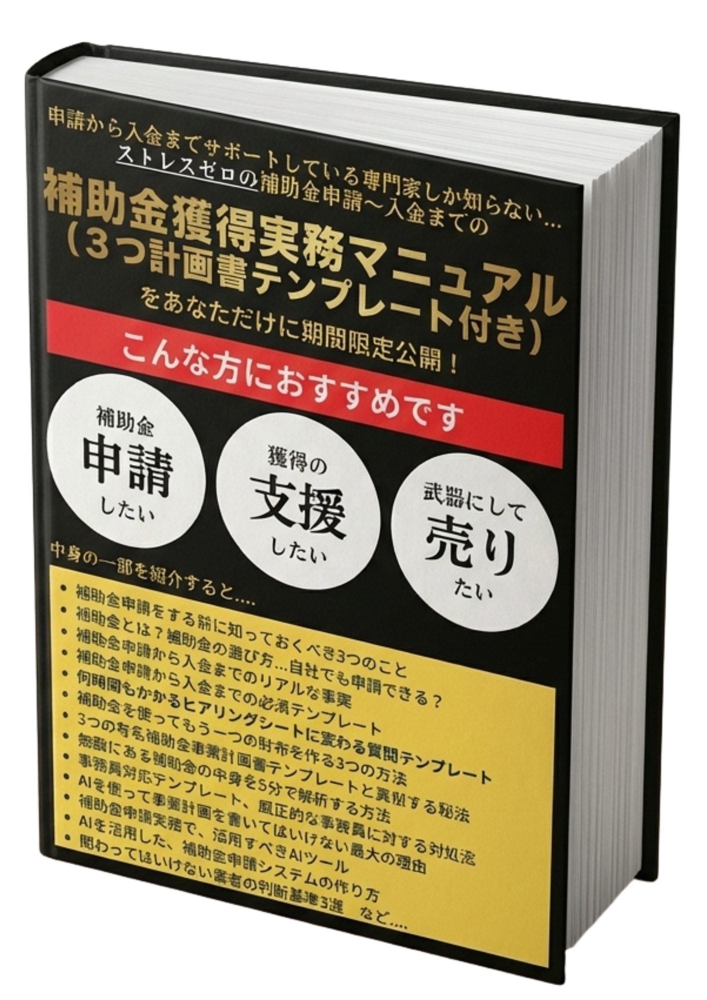 補助金獲得実務マニュアル（3つの計画書テンプレート付き）
